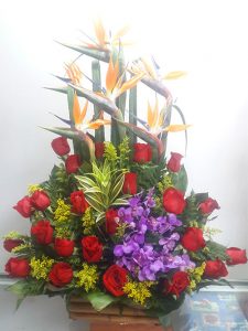 Avez Rojas Orqudeas