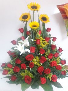 Girasoles Rosas 